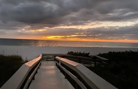 0722643da9ab4a5d99c2513e4881d94e LargeOriginal.jpg