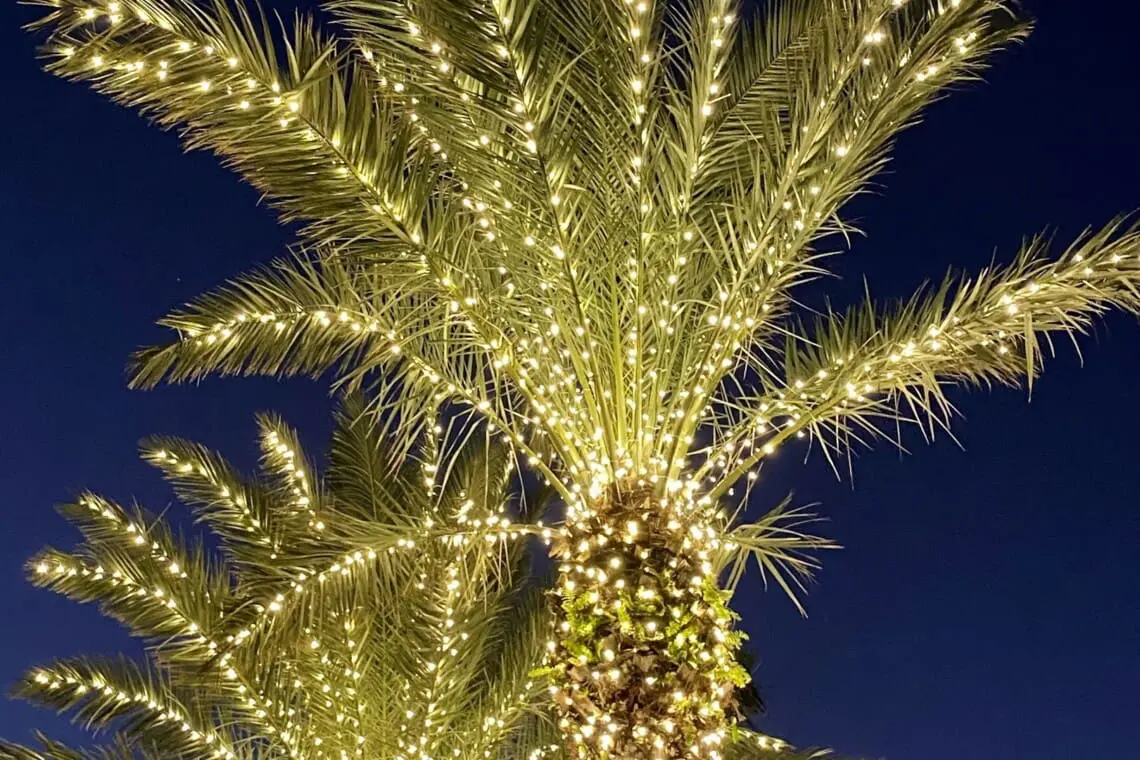 07bd5047faf54d908f4a6461b725672b LargeOriginal.jpg