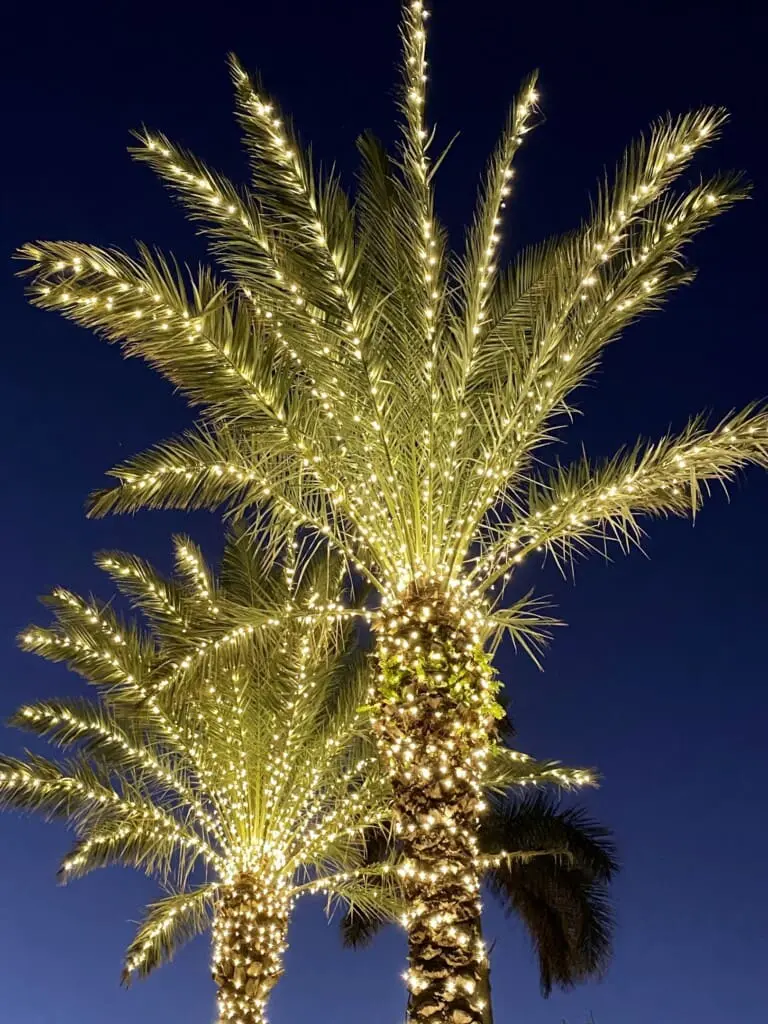 07bd5047faf54d908f4a6461b725672b LargeOriginal.jpg