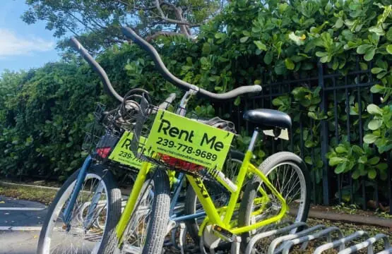 11d679713677419496c2087b93340d36 LargeOriginal.jpg