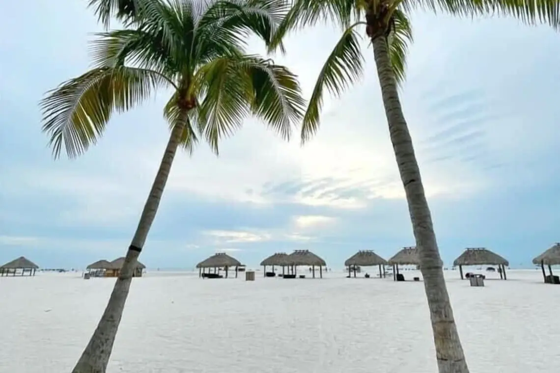 3ec77b0e28f64d178b951fa1d98c5531 LargeOriginal.jpg