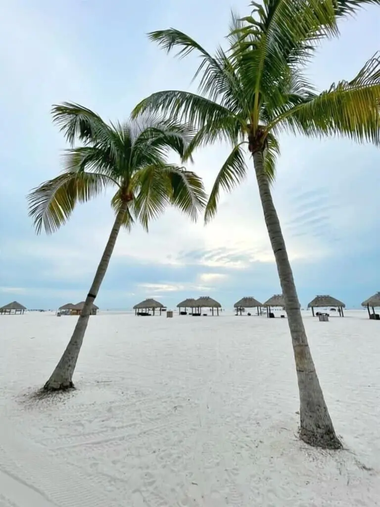 3ec77b0e28f64d178b951fa1d98c5531 LargeOriginal.jpg