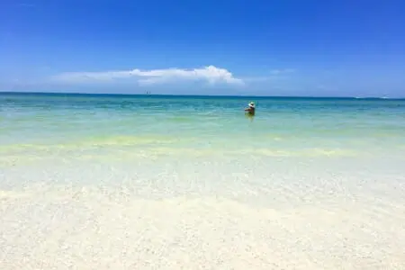 425425c098ef4ca783fbdb5ba378a034 LargeOriginal.jpg