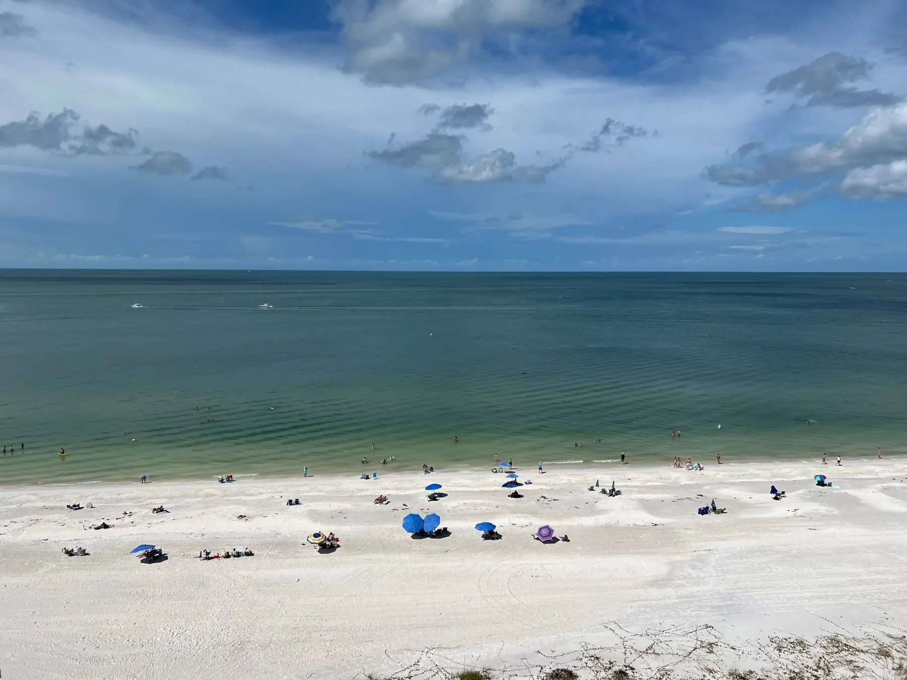 66A032C7 2B71 4DEA 8493 F7F05D035764 IMG 7947