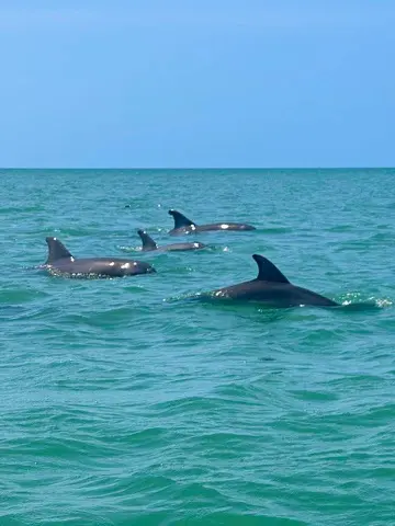 6864CB10 5AE1 41CA 9F82 93A7B94D13AA 4 5005 c