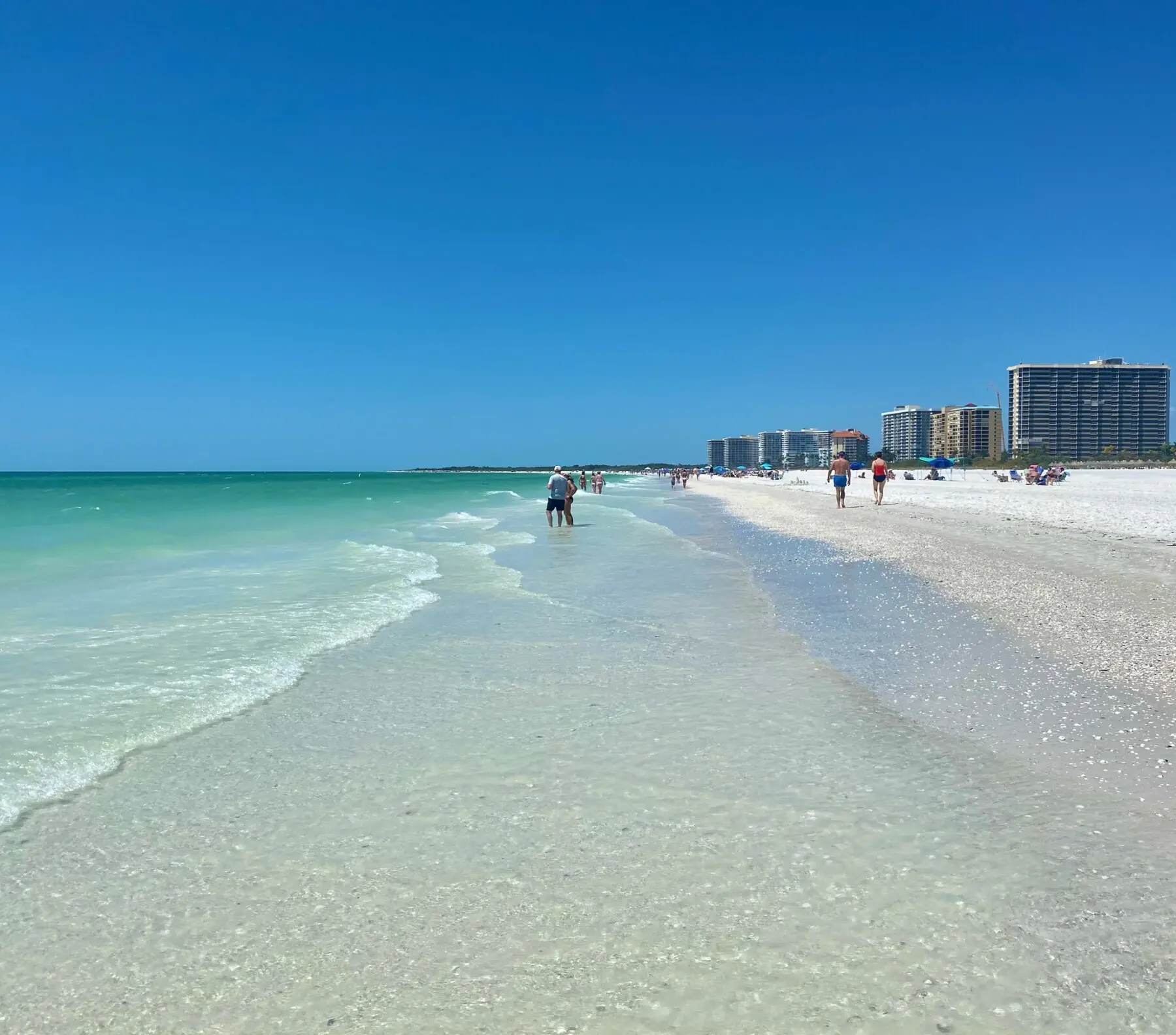 6E393FB0 6C0C 42AF ABD4 5814498D9AC0 IMG 1093