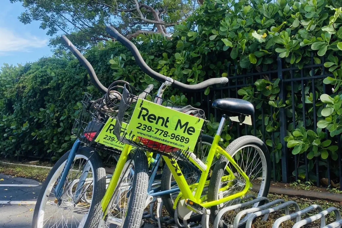 77621f60a65e4f33b80845511b469e09 LargeOriginal.jpg