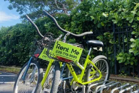 77621f60a65e4f33b80845511b469e09 LargeOriginal.jpg