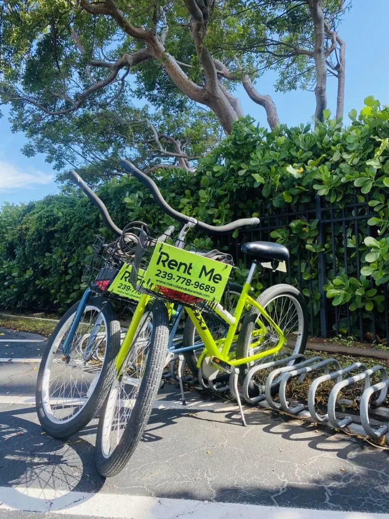 77621f60a65e4f33b80845511b469e09 LargeOriginal.jpg