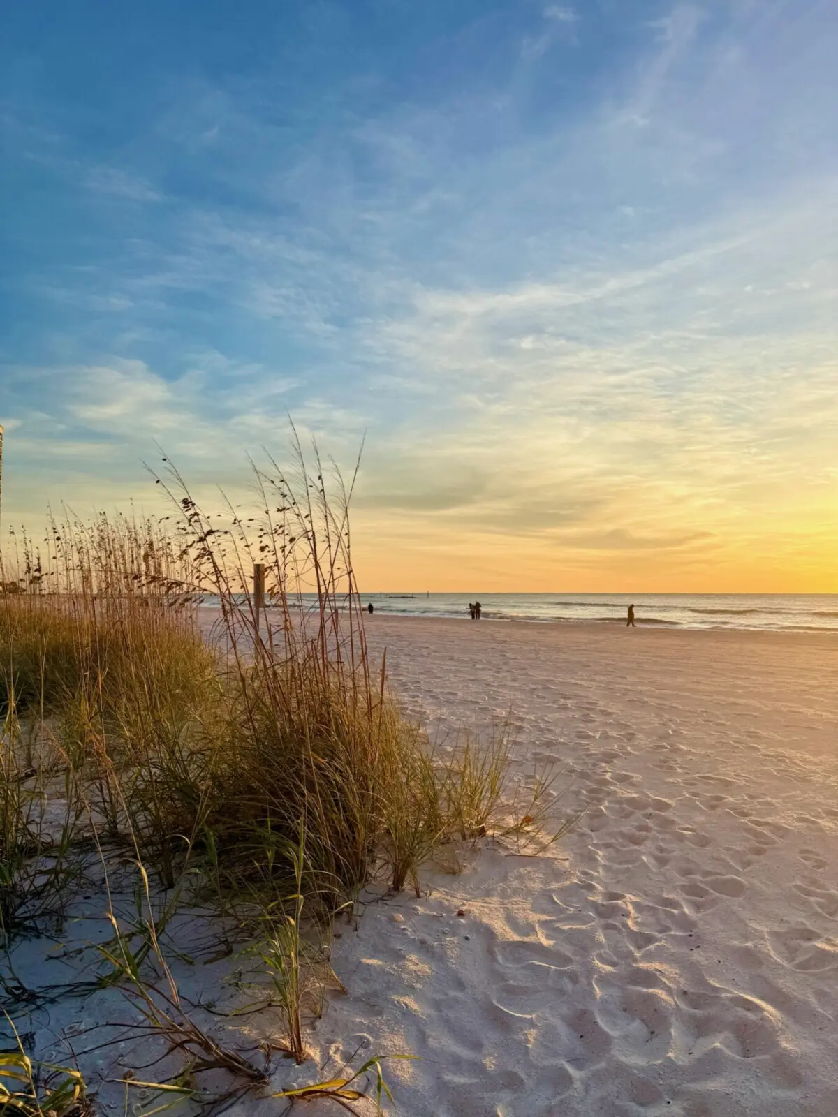 8A8CB1C4 11C0 4591 B81B 588A4EB240F6 IMG 8874