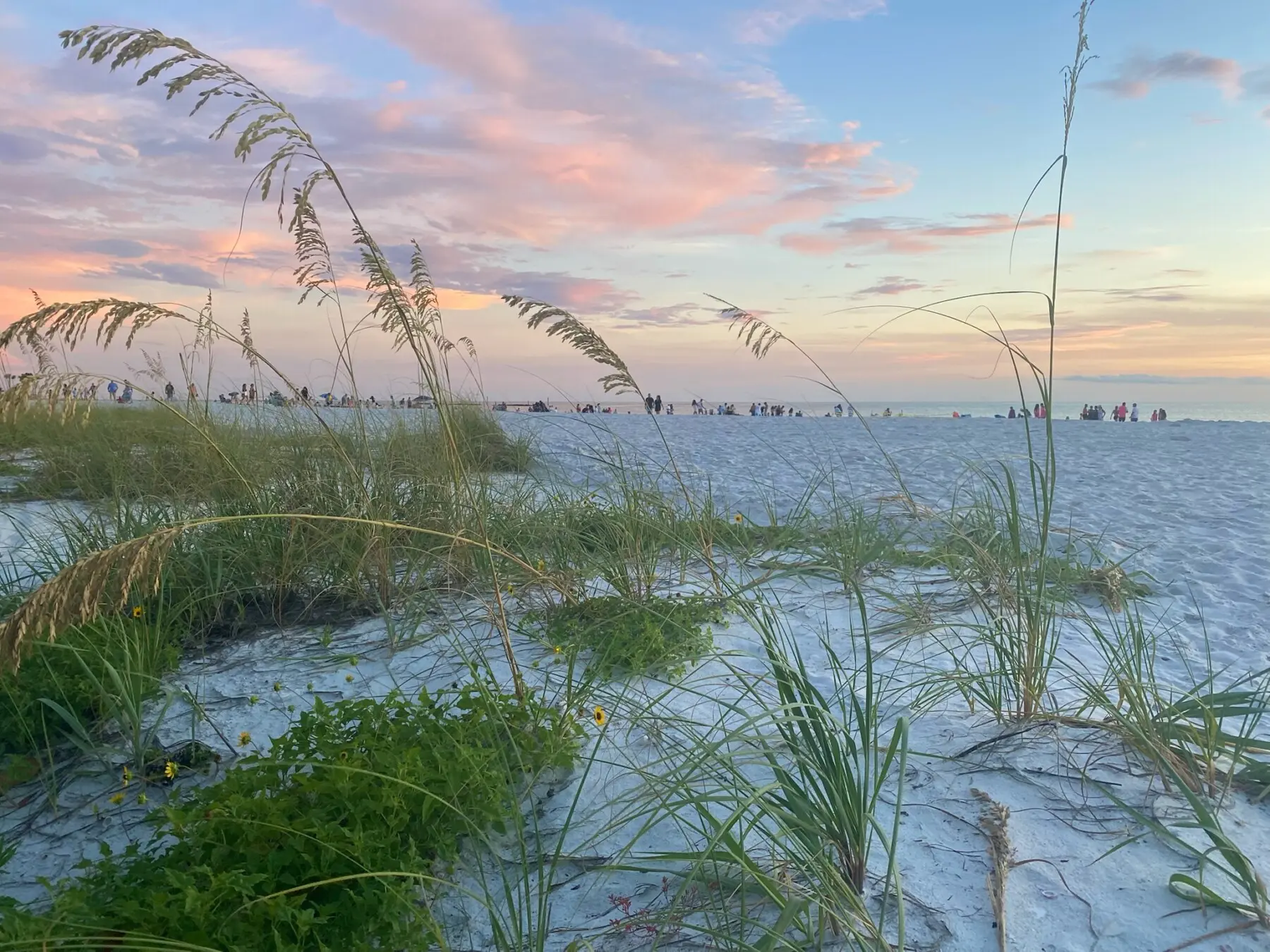 EC024F2E 2CBF 46C4 AB2C E4480E1A2507 IMG 3777