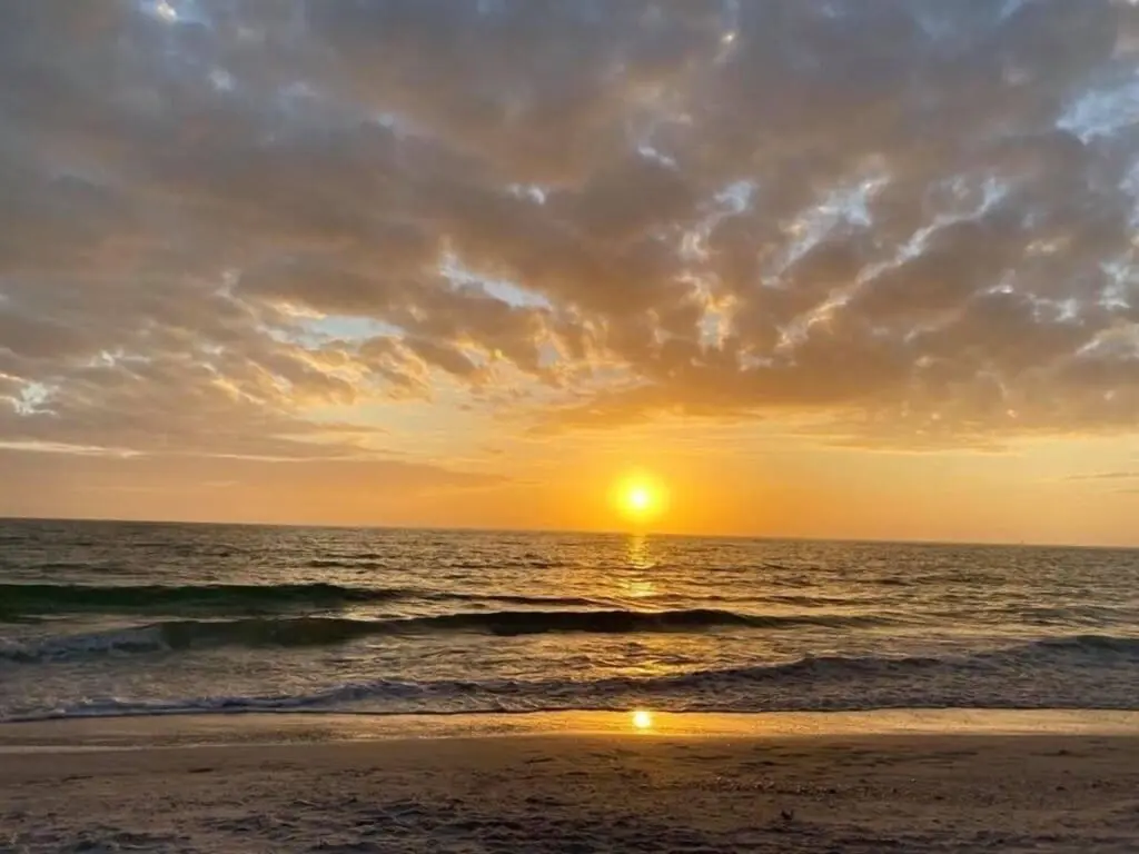 cced0d0062c041bd998a24ea6a1aedf3 LargeOriginal.jpg