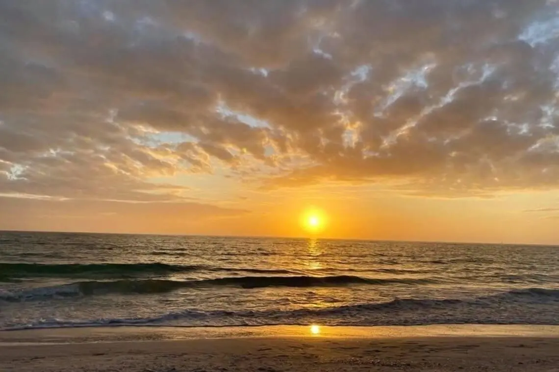 cced0d0062c041bd998a24ea6a1aedf3 LargeOriginal.jpg