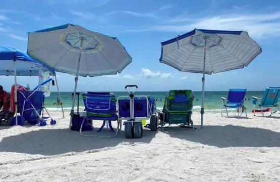 ce561a61e65d4a04b2f7a02918720ab7 LargeOriginal.jpg