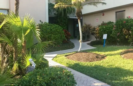 db56abe84c004b65af18977db57dace8 LargeOriginal.jpg