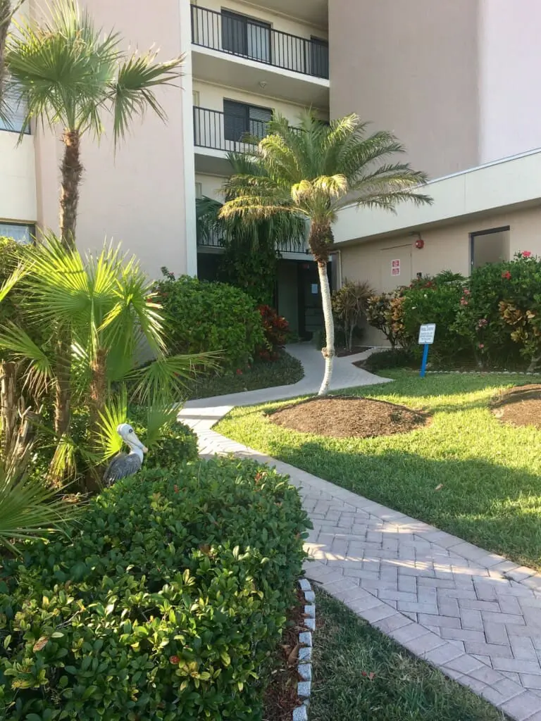 db56abe84c004b65af18977db57dace8 LargeOriginal.jpg