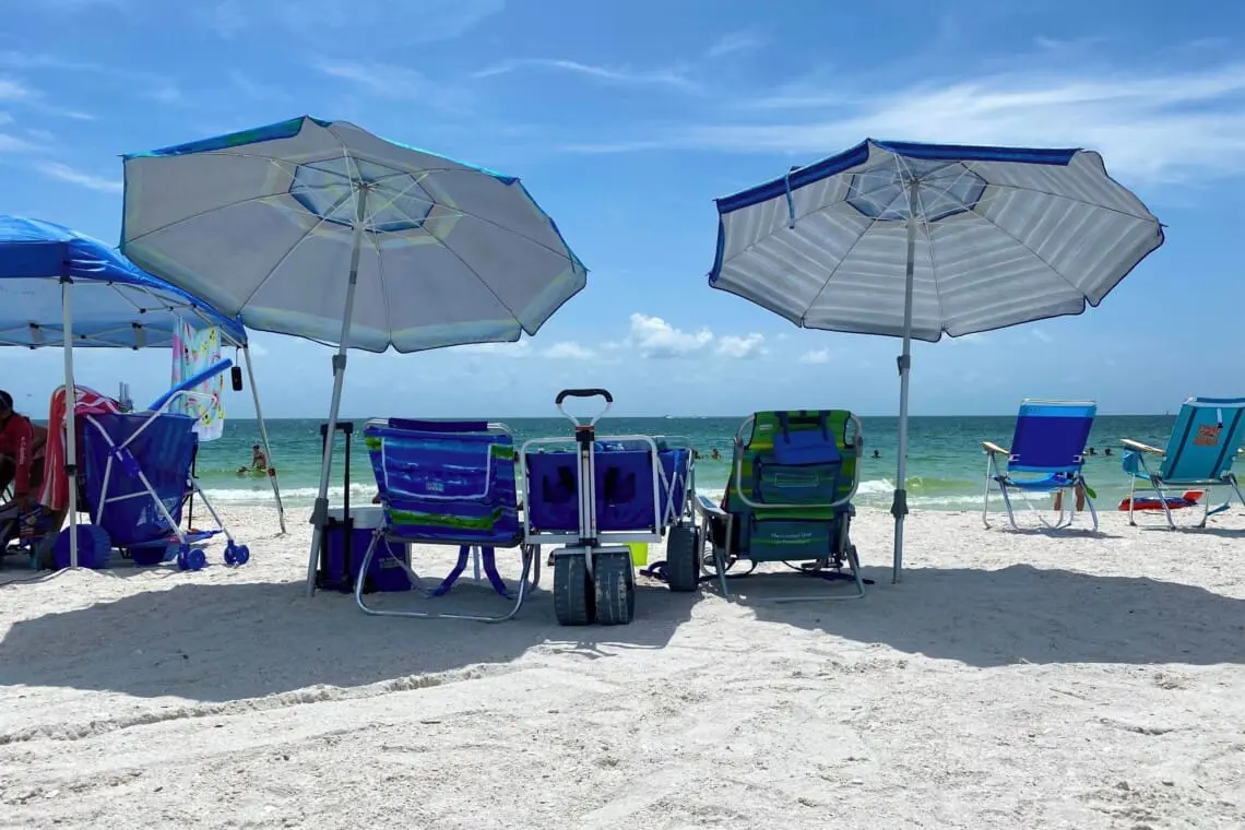 f566ddcf6ddf4e368824dec728dd59f7 LargeOriginal.jpg